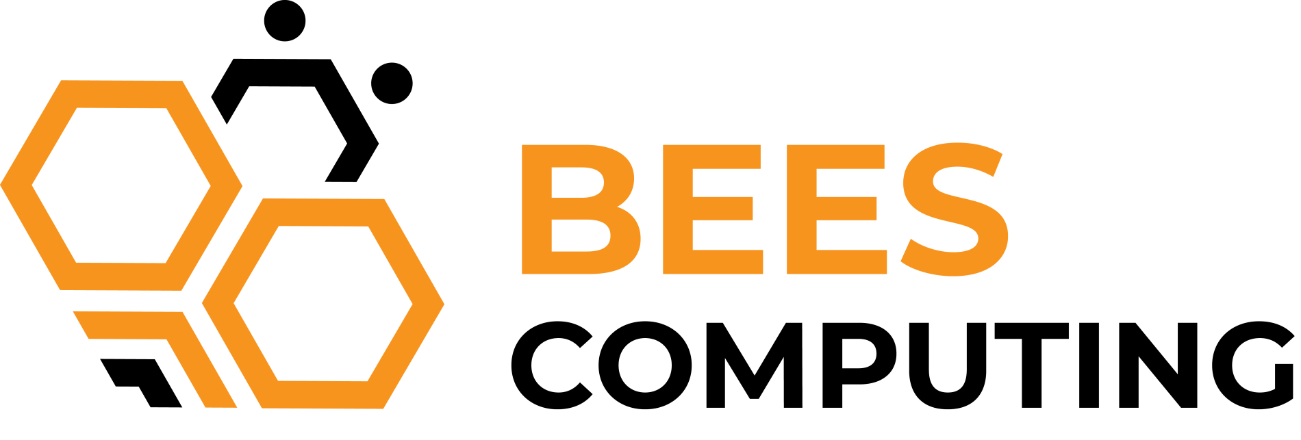 BEES Computing